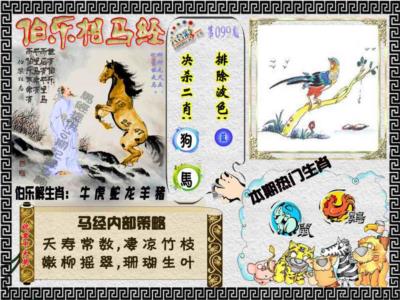 伯乐相马经（荐）