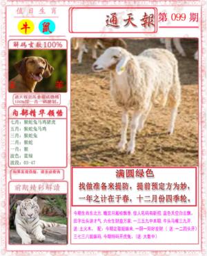 马经通天报