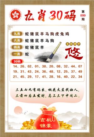 九肖30码