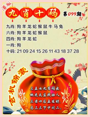 九肖十码