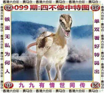 四不像中特图