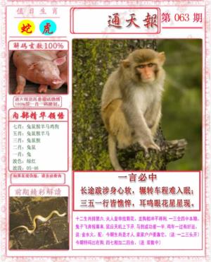 马经通天报