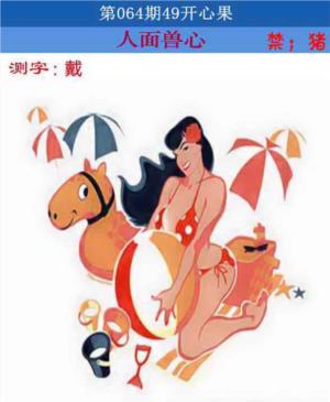 四九开心果