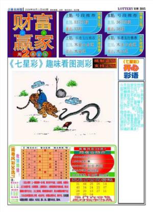 财富赢家（七星彩）