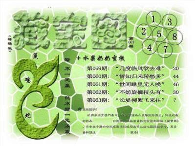藏宝图(正版)