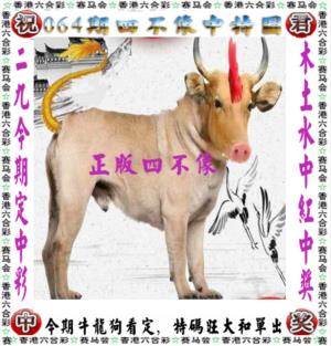 第2026064期图库