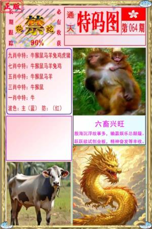 特码图