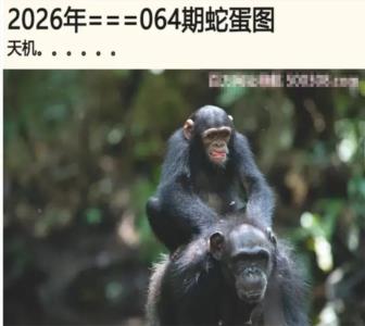 另版蛇蛋图