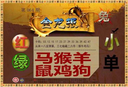 金龙报
