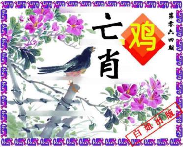 神鸟版