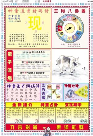 六合神童B