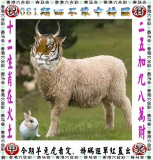 第2026081期图库