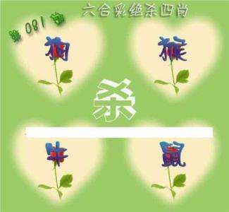 赛马会绝杀四肖