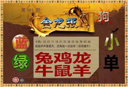 金龙报