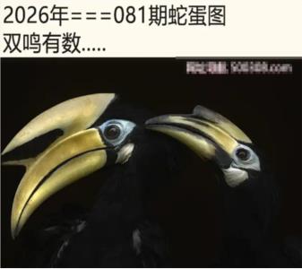 另版蛇蛋图