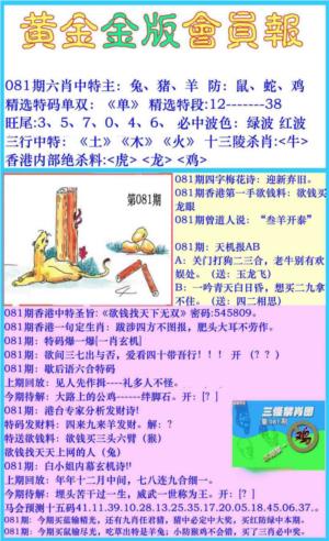 黄金金版会员报