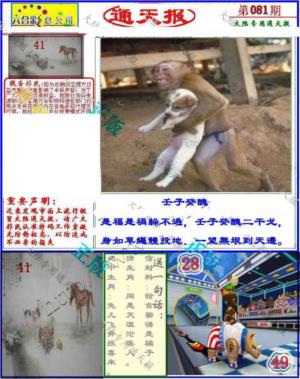 大陆通天报