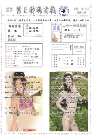 当日特码玄机-2