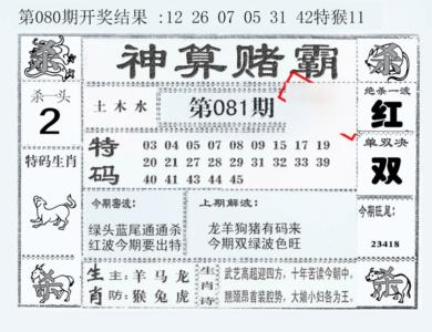 神算赌霸