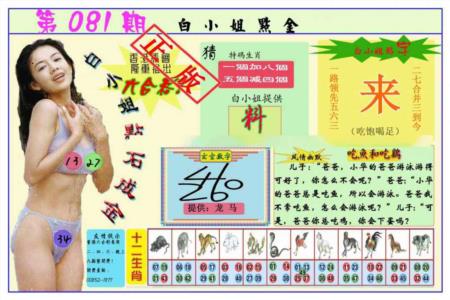 白小姐点金