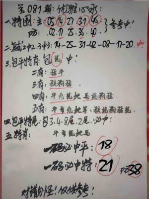 优雅心水