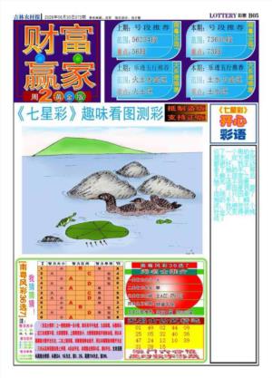 财富赢家（七星彩）