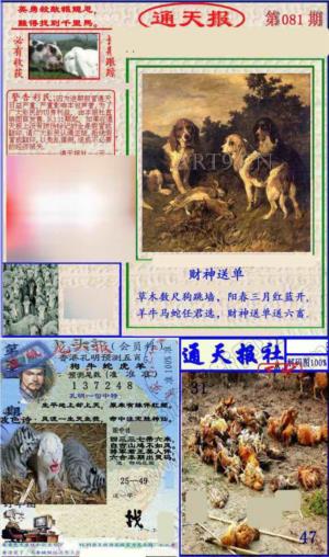 实力通天报