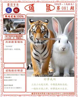 正版通天报(会员版)