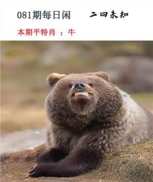 每日闲情