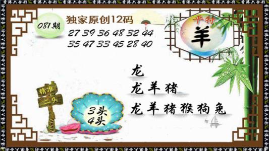 独家原创12码